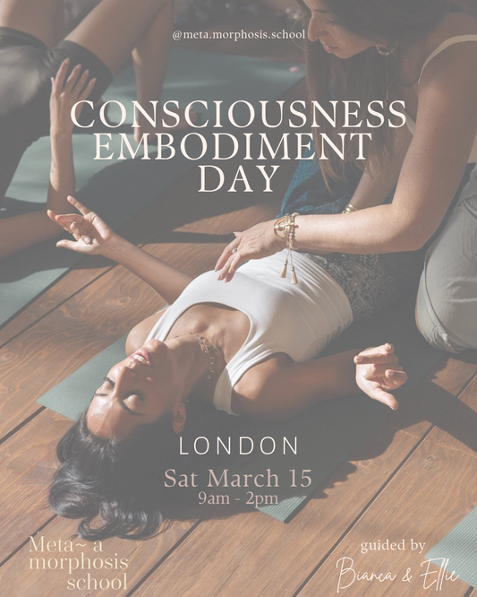 Consciousness Embodiment Day